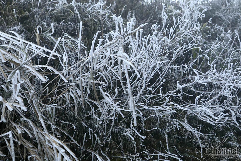 Băng tuyết phủ trắng đỉnh đèo Ô Quý Hồ